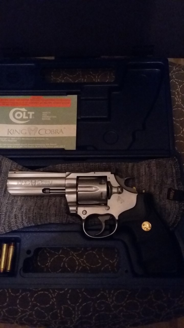colt.jpg