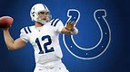 colts.jpg