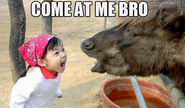 come-at-me-bro-lead_f1806ab1bfce560e2738037b6b57051338889423.jpg