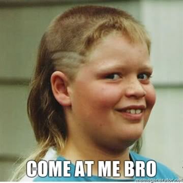 Come-at-me-bro_2790c8d04965b1fcb11ed20f704bc1c5ac286135.jpg