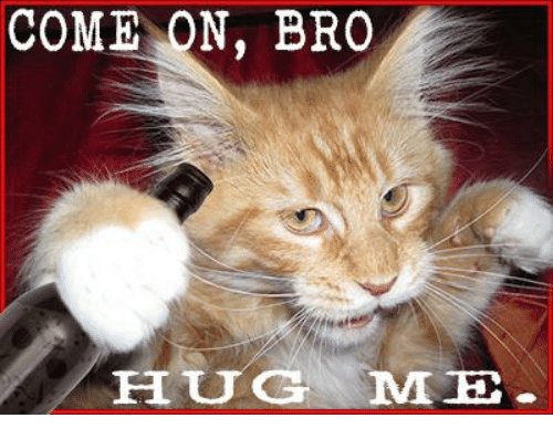 come-on-bro-hug-nsm-ec-5103479.jpg