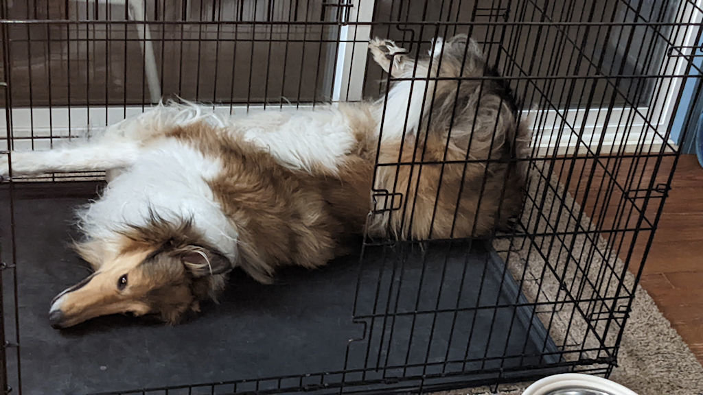 Comfortable.jpg