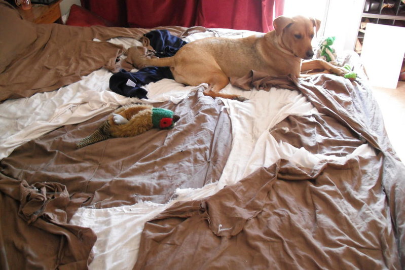 comforter 001.jpg