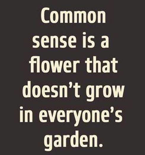 common sense.jpg