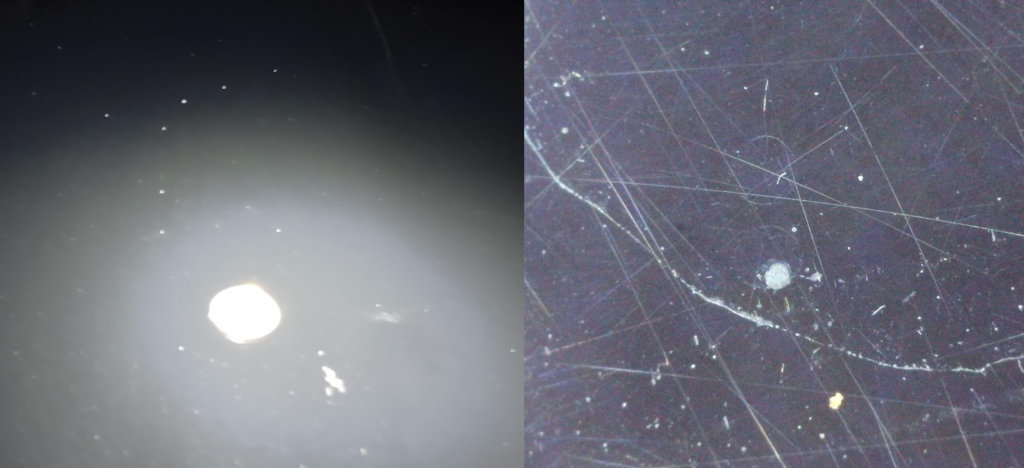 compare-4.jpg