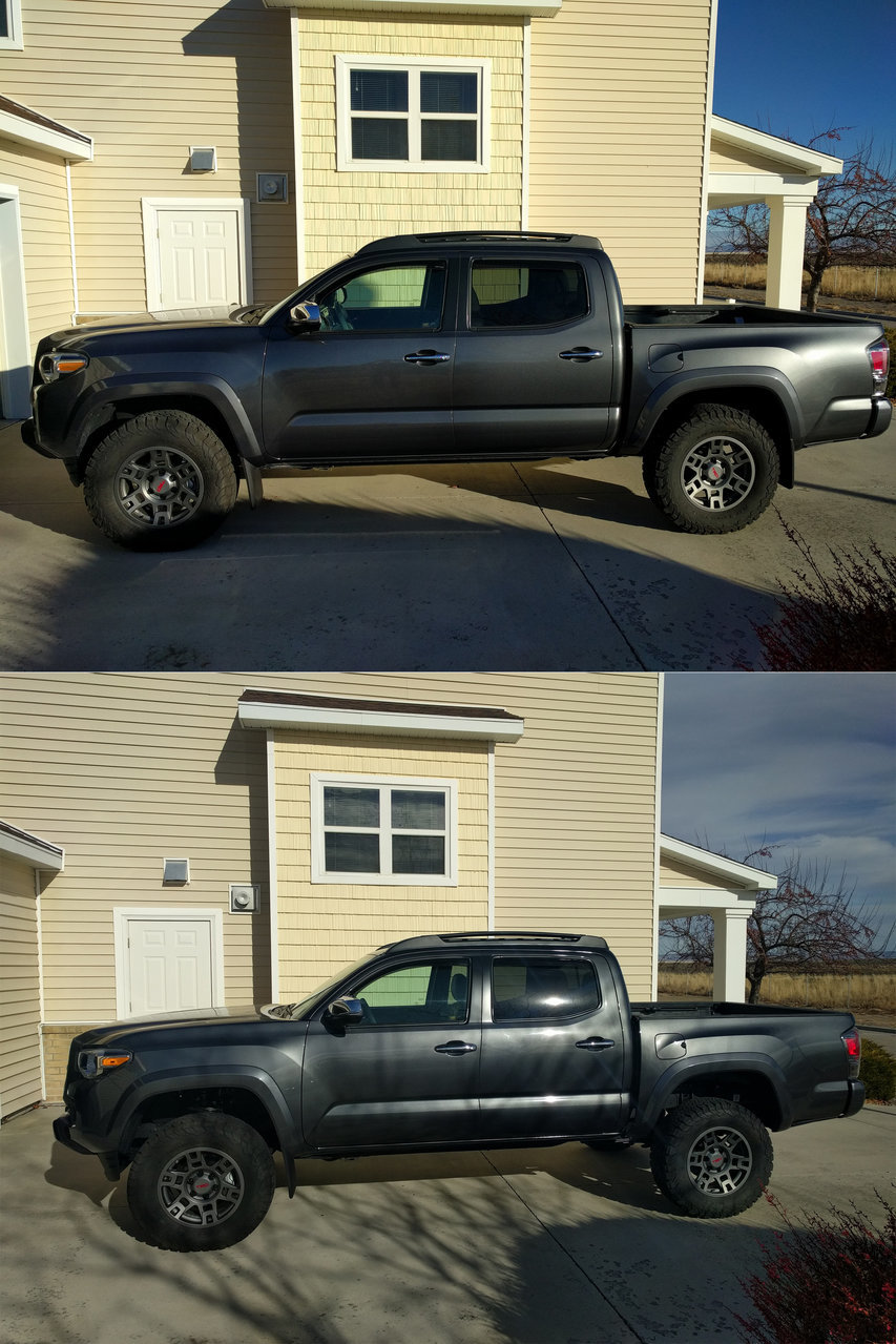 compare.jpg