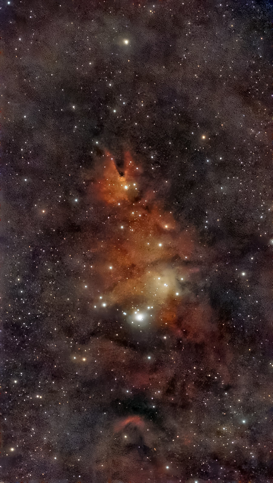 Cone Nebula Astro Cooker Affinity 604 subs.jpg