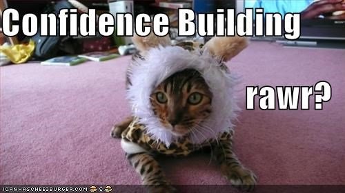 confidence-building-rawr.jpg