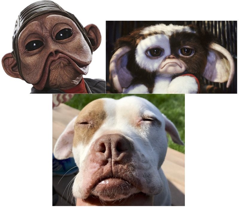 conglom2.jpg