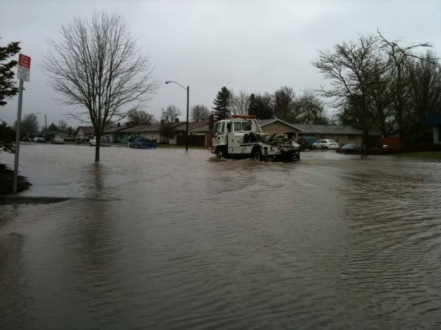 ConiferinCorvallis_60e39ffac366e1e6bc43cac84e593e3126b115c5.jpg