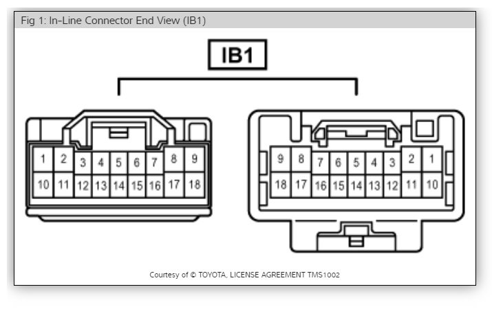 Connector IB1.jpg