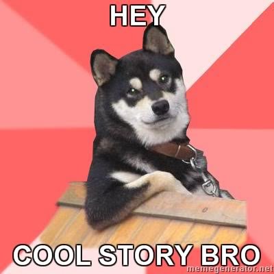 Cool-Dog-Hey-Cool-story-bro41_e79279b3f9682c4797a5e1ea1d784df3c71e6a62.jpg
