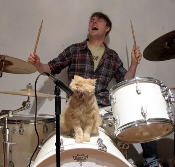 cool_cat_singer-600x573_7e16e53dd71c06d225accb73d0a31d1b41afd720.jpg