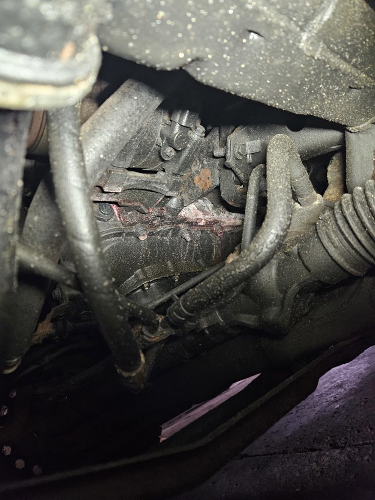 coolant leak tacoooo.jpg