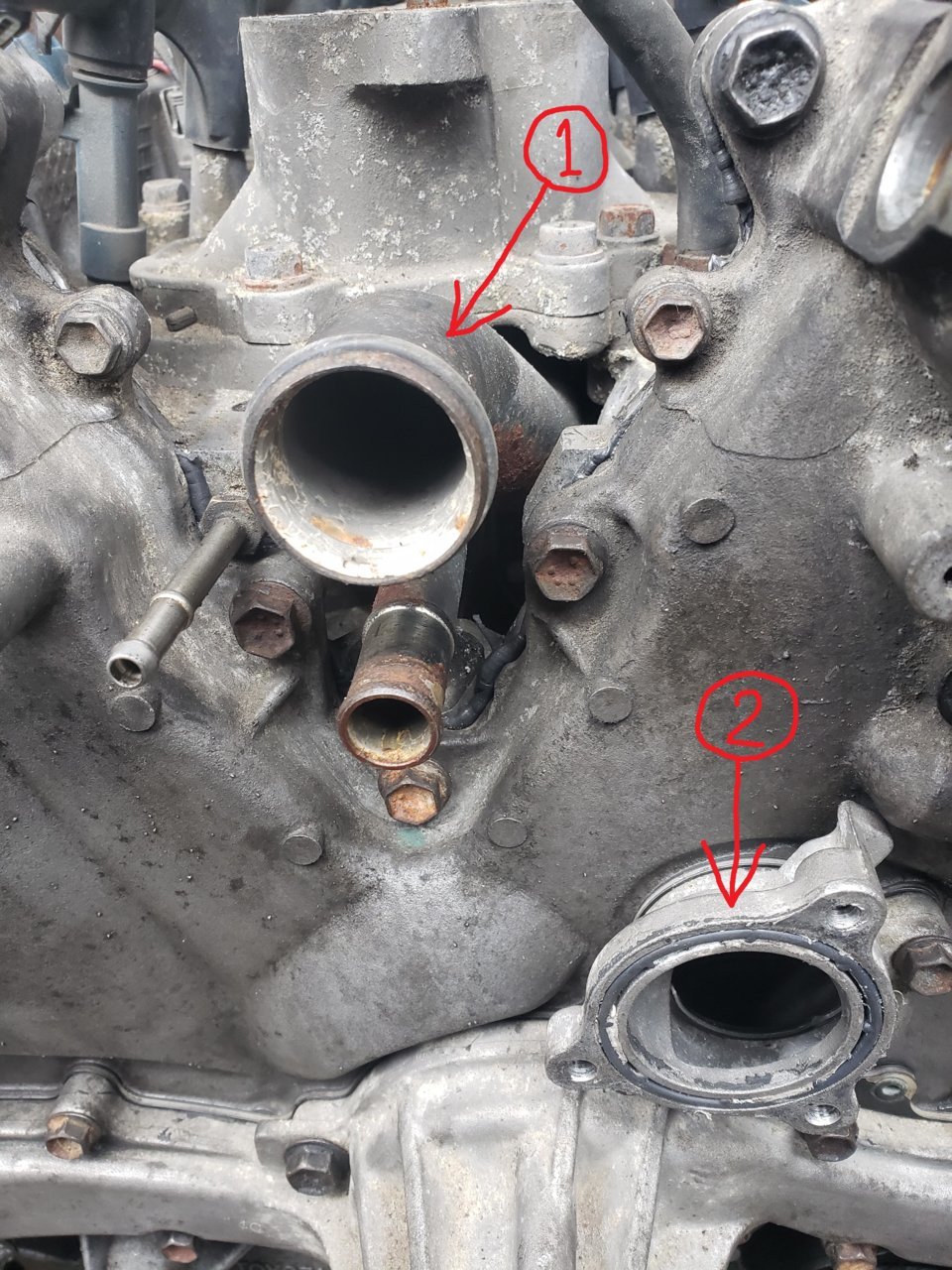 coolant-O-rings.jpg