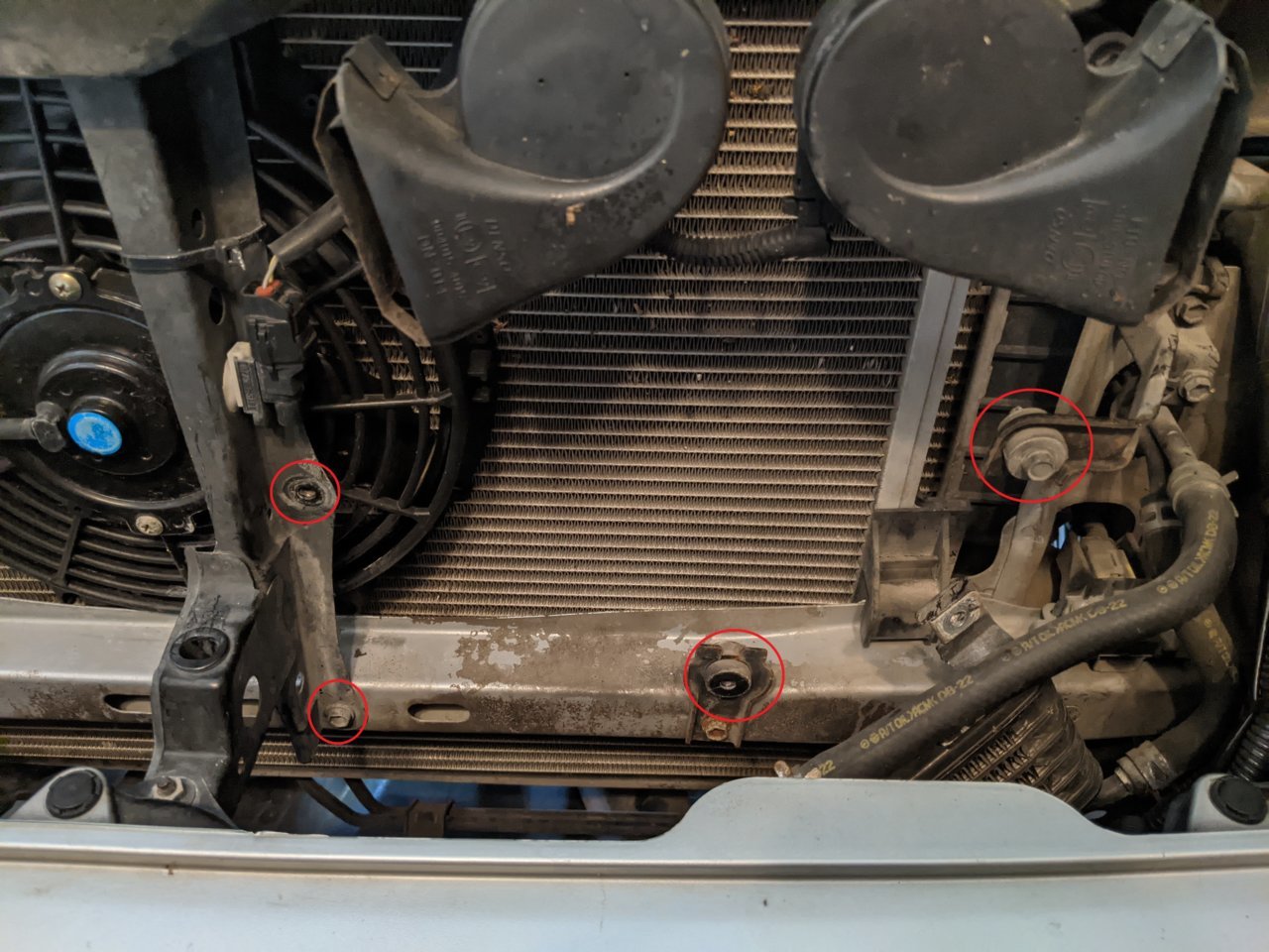Cooler empty marked.jpg