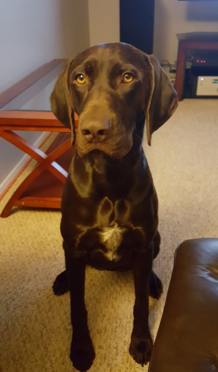 Coop (3).jpg