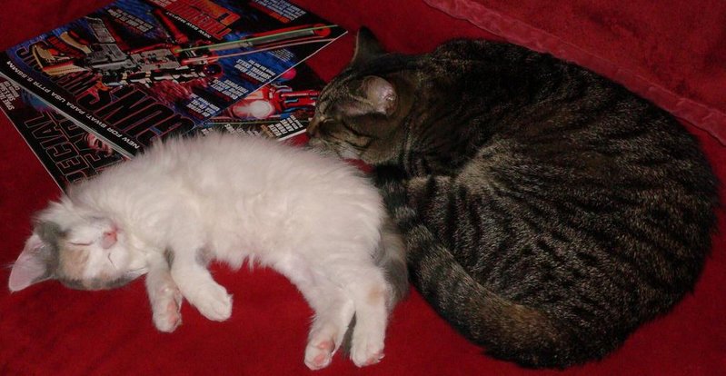 Cooper and Mollie 013.jpg