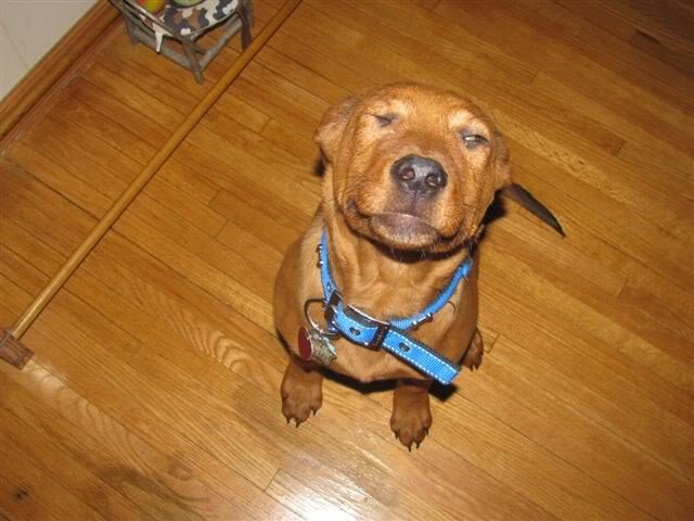 cooper2_5e3a63b7820b90c4e1fd8e09353daf194a865a98.jpg