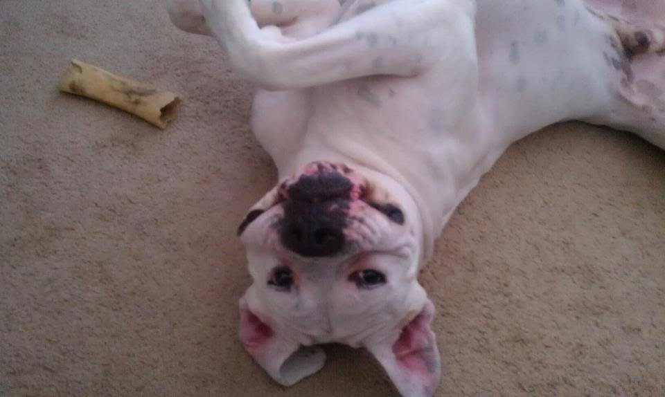 cooper_146ce2a0d03481f57a3587a4fea7bdfcb55f1cea.jpg