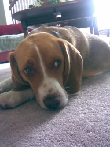 Cooper_45f975747b72df8d573dde8b086e78bc8cc7f94e.jpg