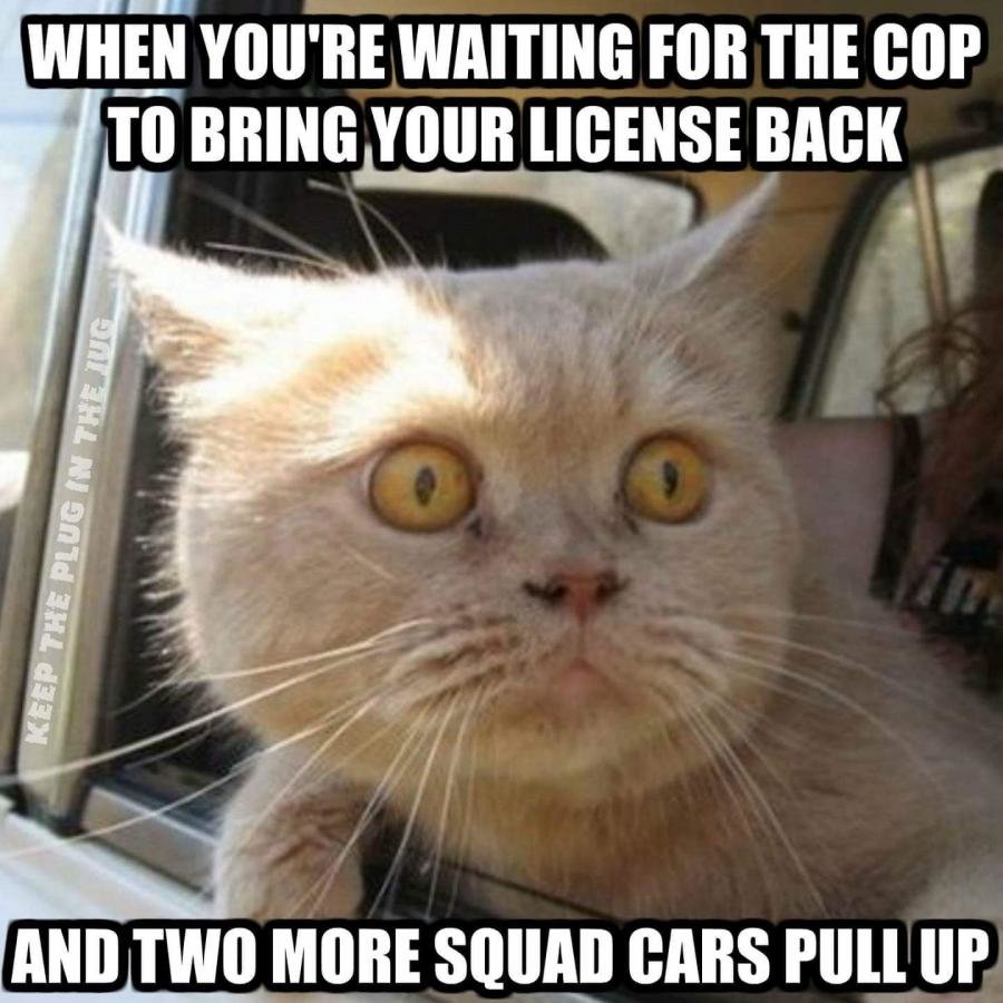 cop.jpg