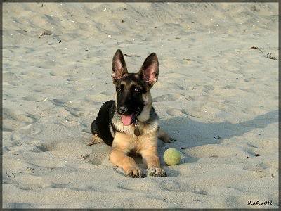 copilot_4836e0f480a58b6f311aa23ef8e9a7c3cb1b3dc9.jpg