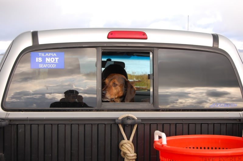 Copilot_a4b612feb4b4ef36674ae2d869a9de4e4619e8f0.jpg