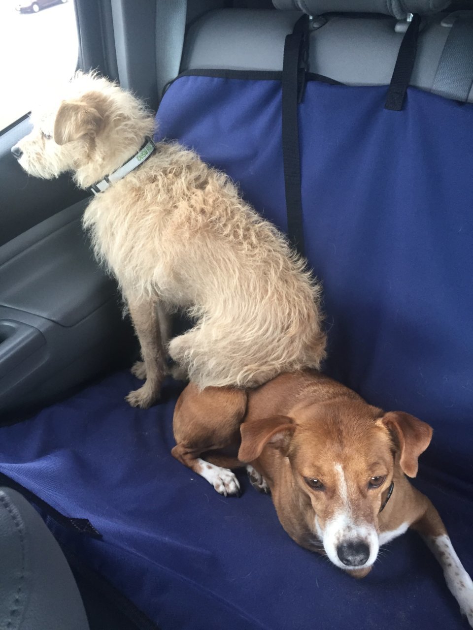 copilots.jpg