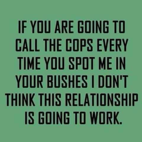cops.jpg