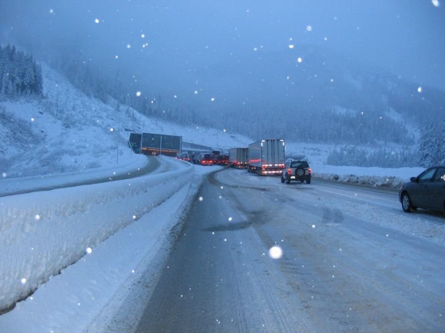 coqhwywinter.jpg
