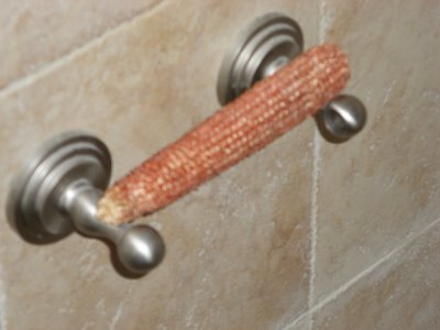 Corn Cob Toilet Paper.jpg
