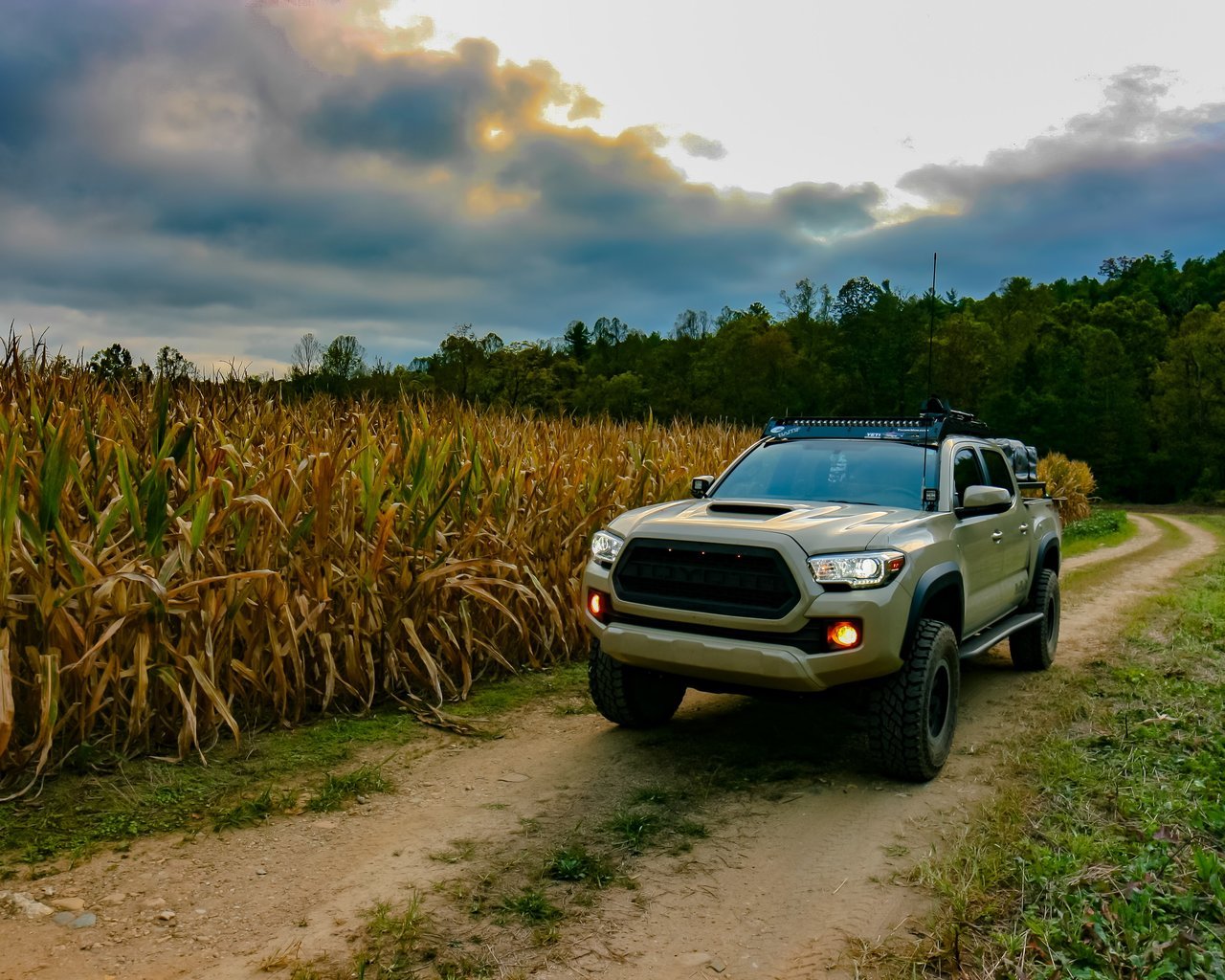corn field truck (1 of 1).jpg
