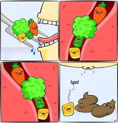 Corn.jpg