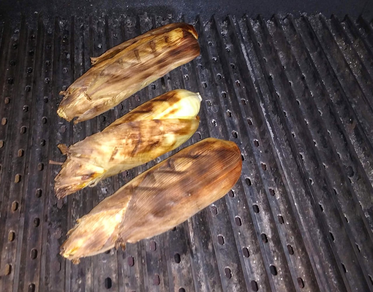 Corn on cob.jpg