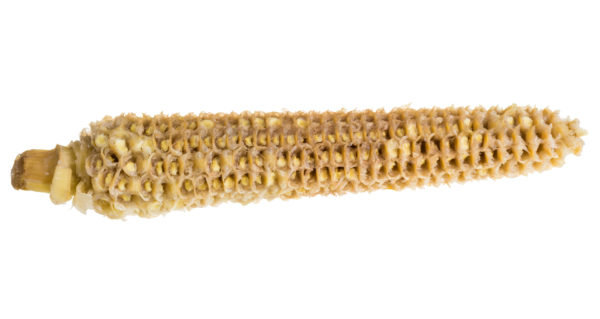 Corncob-Toilet-Paper-i862475538-600x319.jpg