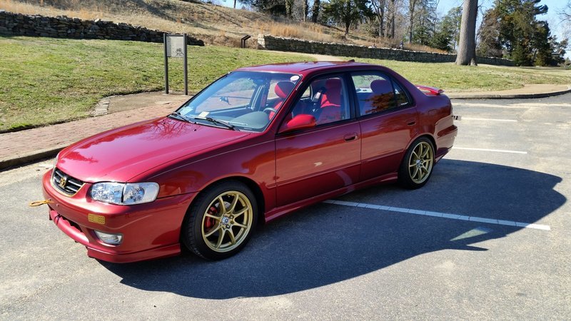 CorollaOriginal - Copy (Large).jpg