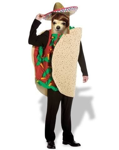 costumetaco_af29f75268bdc63d70b5422daae7005236433aa5.jpg