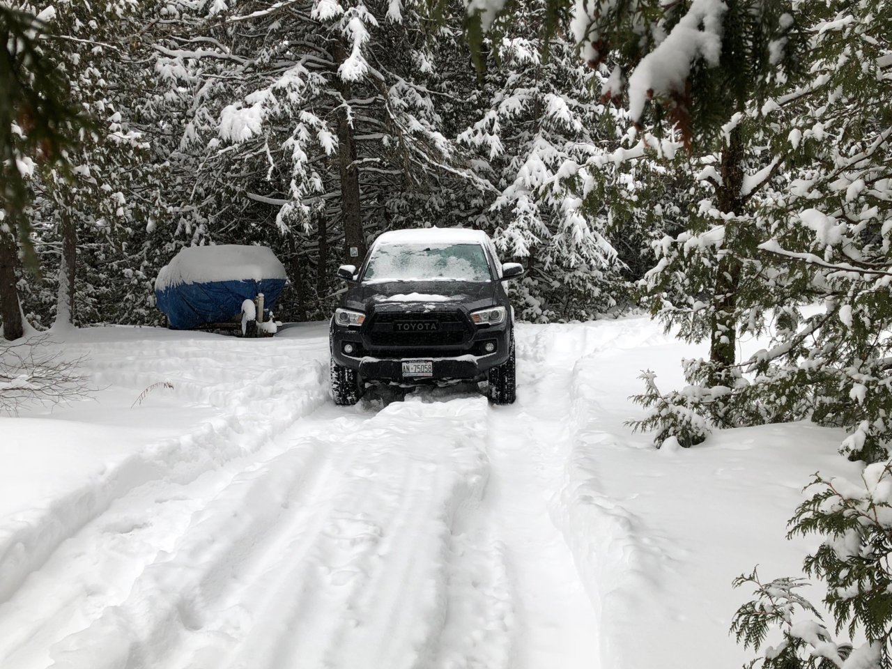 Cottage-2018.jpg