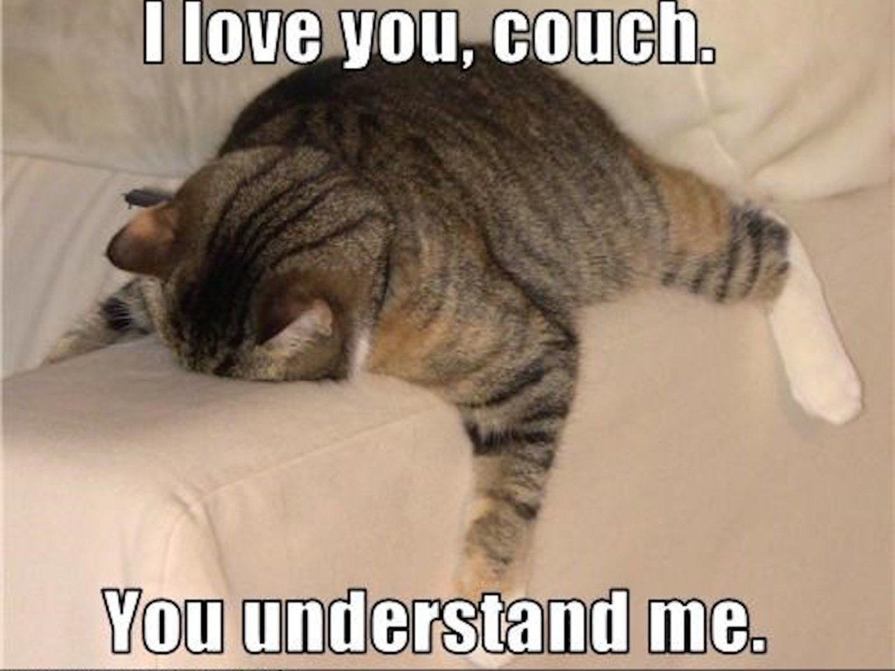 couch-5abbfeceba617700378f74dd.jpeg.jpg