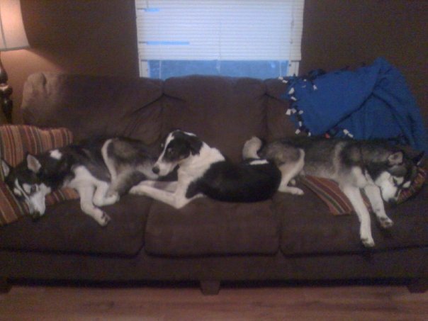 couch.jpg