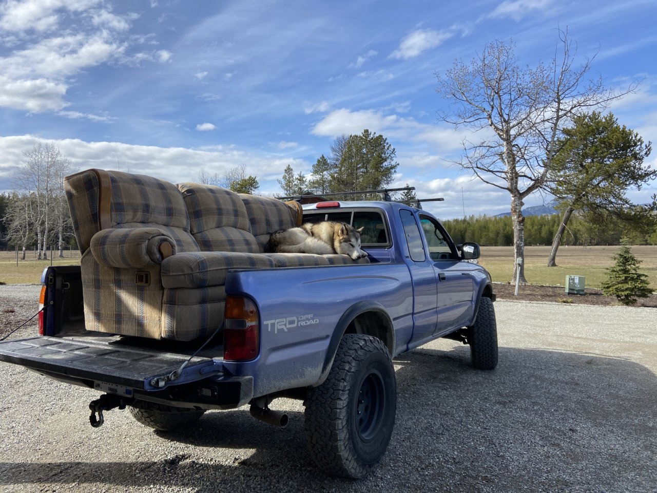 couch.jpg
