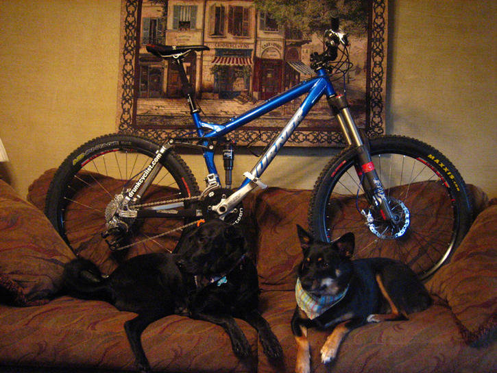 couch shot.jpg