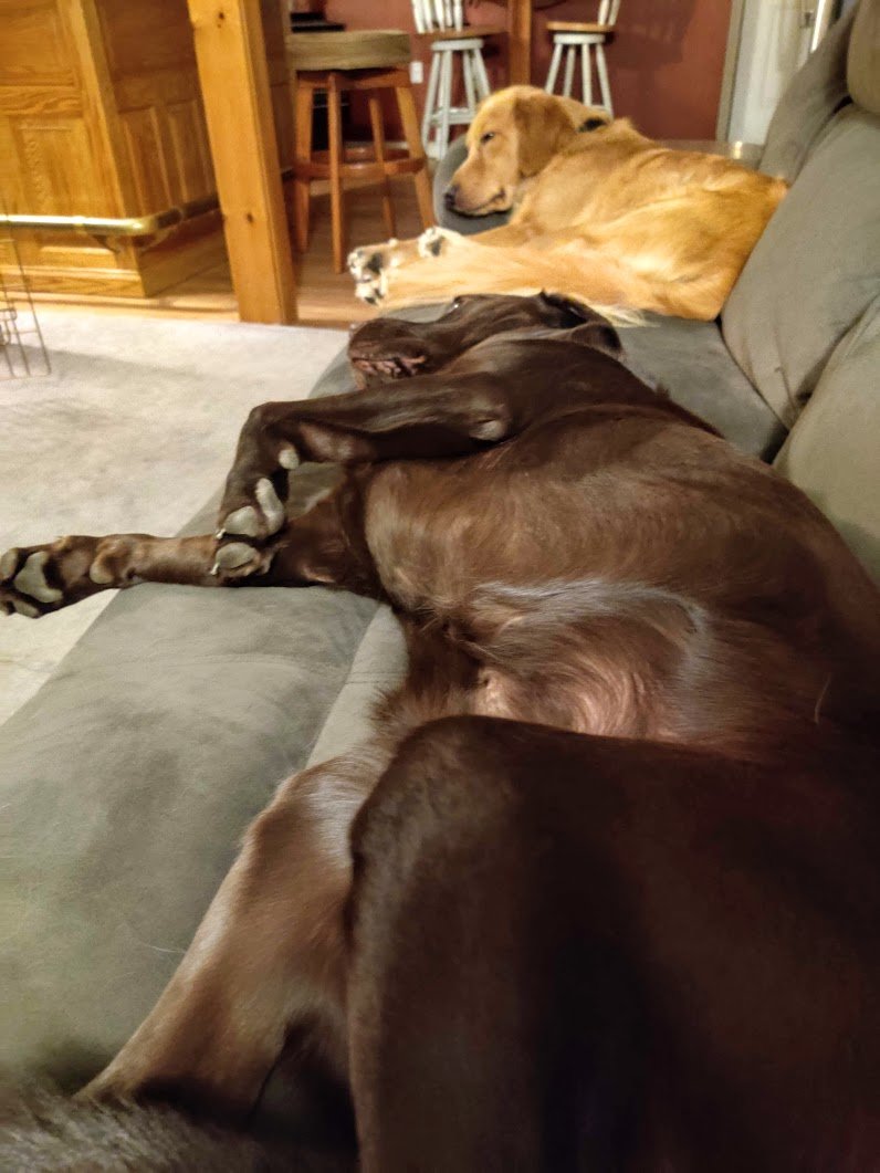 couch surfing.jpg