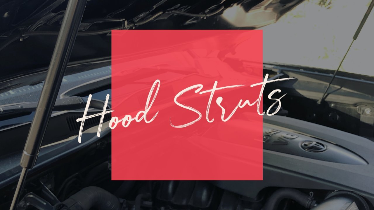 Cover-HoodStruts.jpg