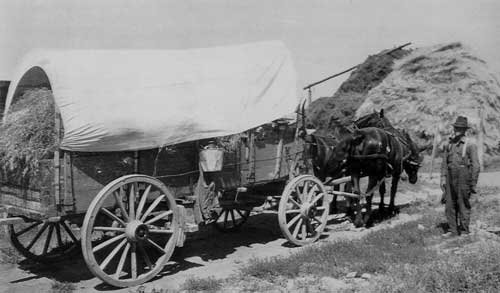 Covered-Wagon.jpg
