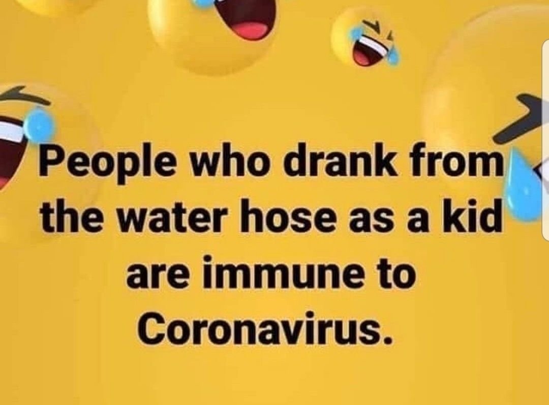 covid.jpg