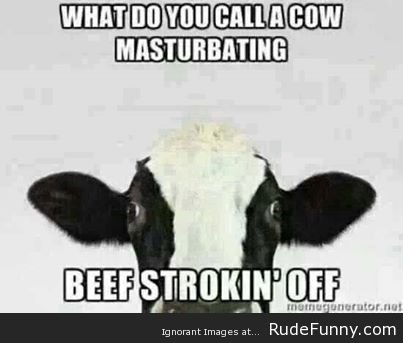 Cow-joke.jpg