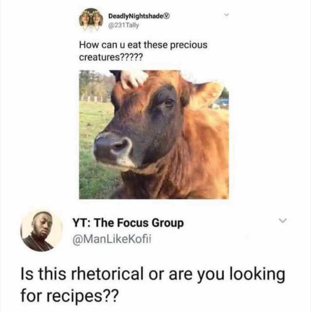 Cow.jpg