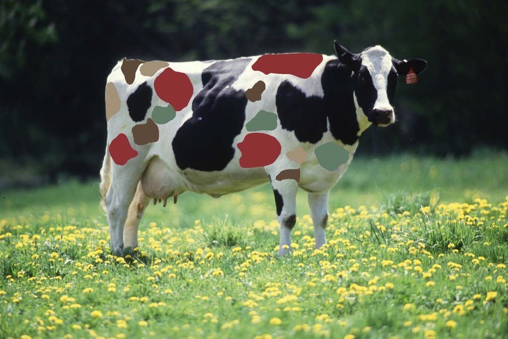 Cow_female_Swiss_zps1kk7ozpq_60ce50875ccc93f7704fc77d93bbc7c110e00237.jpg